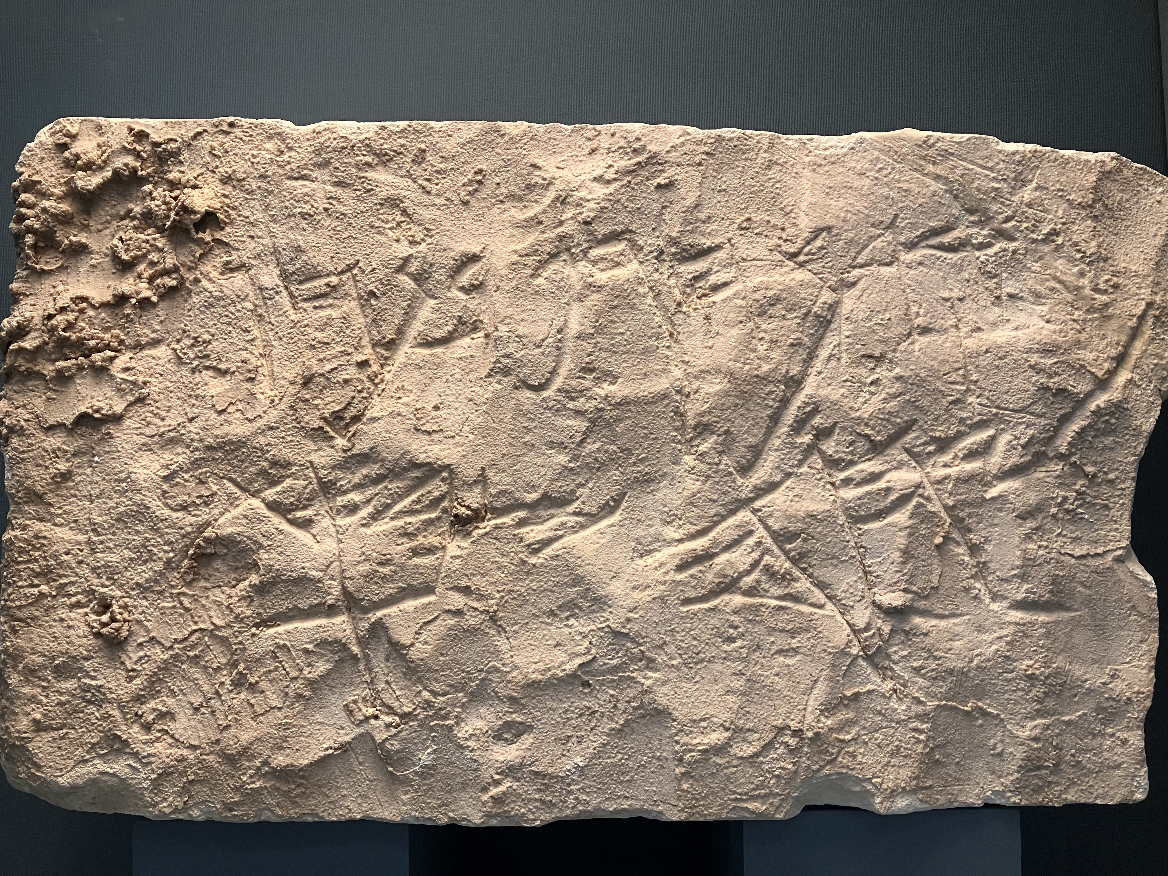 Ancient Writing in the Levant – Ancient Bible World